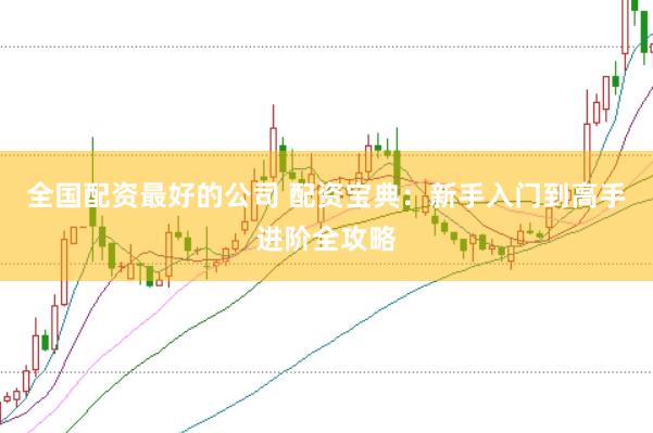 全国配资最好的公司 配资宝典：新手入门到高手进阶全攻略