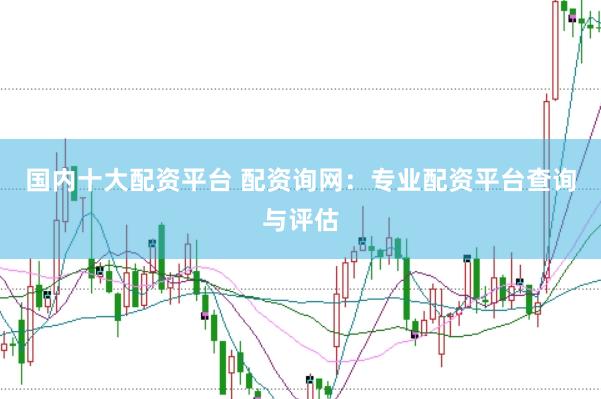国内十大配资平台 配资询网：专业配资平台查询与评估
