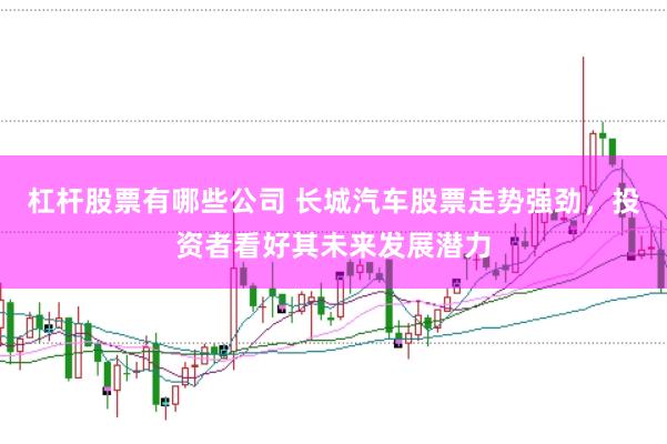 杠杆股票有哪些公司 长城汽车股票走势强劲，投资者看好其未来发展潜力