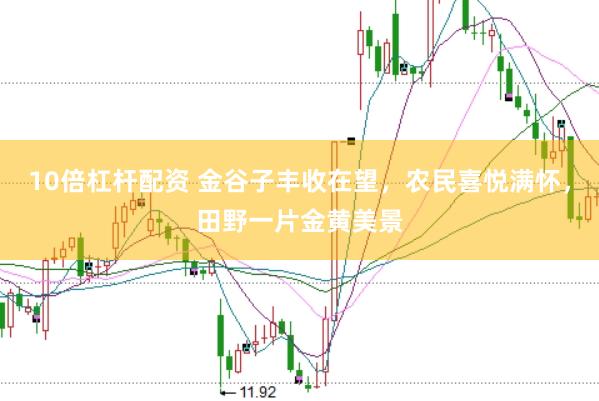 10倍杠杆配资 金谷子丰收在望，农民喜悦满怀，田野一片金黄美景