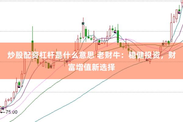 炒股配资杠杆是什么意思 老财牛：稳健投资，财富增值新选择