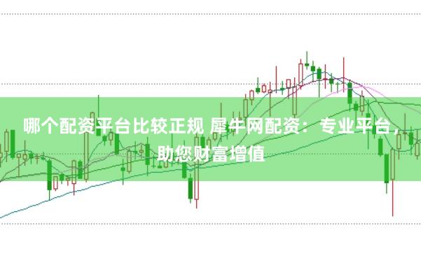 哪个配资平台比较正规 犀牛网配资：专业平台，助您财富增值