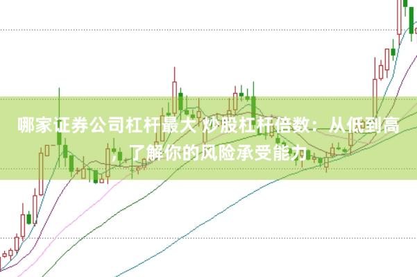 哪家证券公司杠杆最大 炒股杠杆倍数：从低到高，了解你的风险承受能力