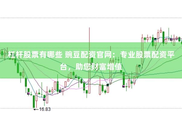 杠杆股票有哪些 豌豆配资官网：专业股票配资平台，助您财富增值