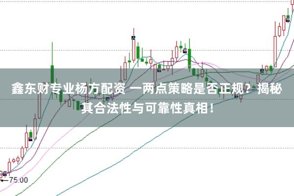 鑫东财专业杨方配资 一两点策略是否正规？揭秘其合法性与可靠性真相！