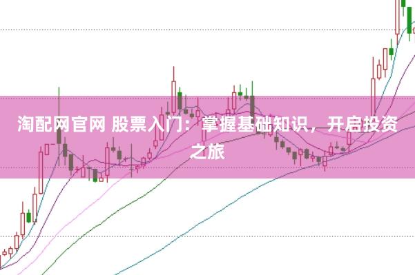 淘配网官网 股票入门：掌握基础知识，开启投资之旅