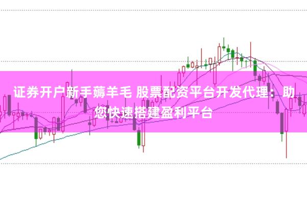 证券开户新手薅羊毛 股票配资平台开发代理：助您快速搭建盈利平台