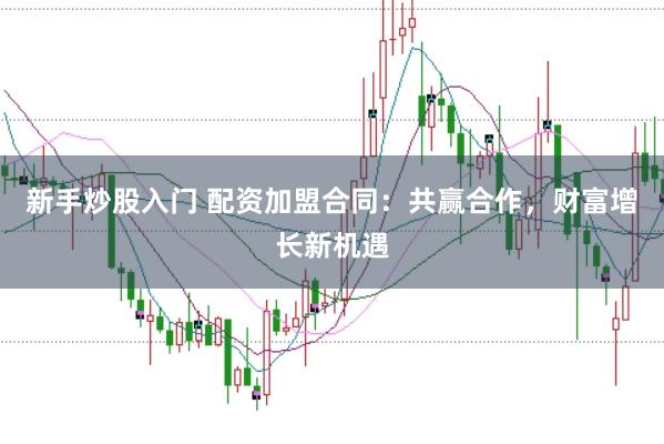 新手炒股入门 配资加盟合同：共赢合作，财富增长新机遇