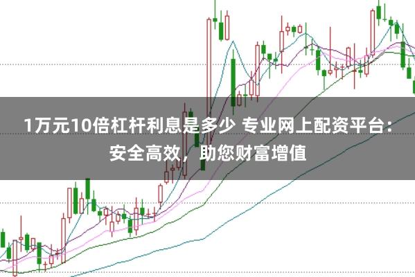 1万元10倍杠杆利息是多少 专业网上配资平台：安全高效，助您财富增值