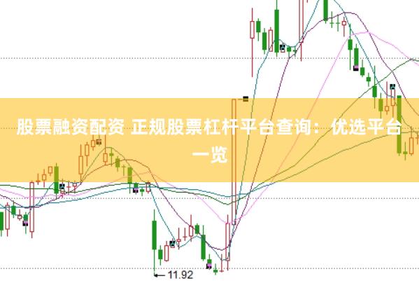 股票融资配资 正规股票杠杆平台查询：优选平台一览