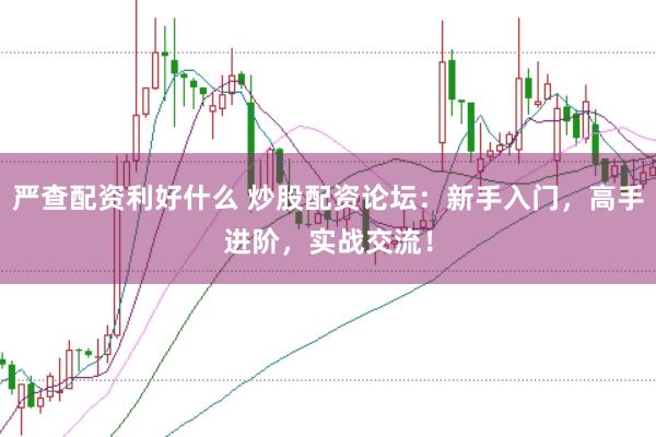 严查配资利好什么 炒股配资论坛：新手入门，高手进阶，实战交流！