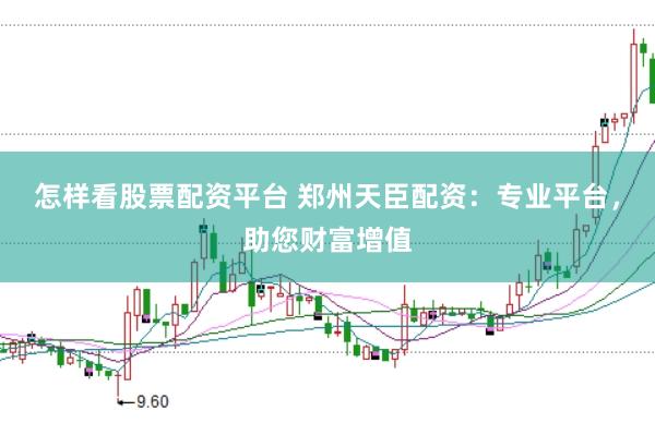怎样看股票配资平台 郑州天臣配资：专业平台，助您财富增值