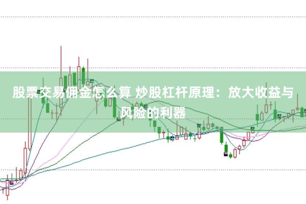 股票交易佣金怎么算 炒股杠杆原理：放大收益与风险的利器