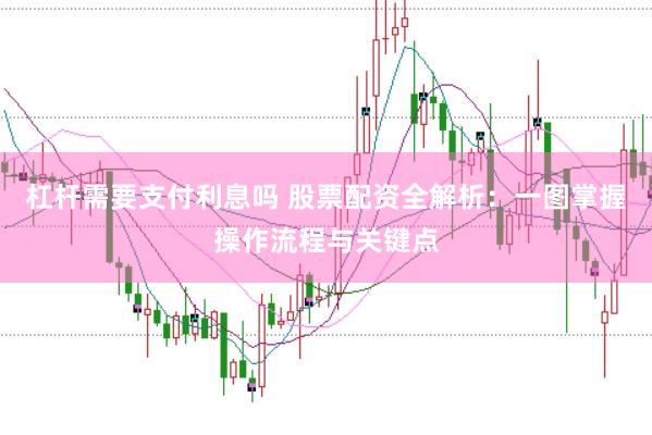 杠杆需要支付利息吗 股票配资全解析：一图掌握操作流程与关键点