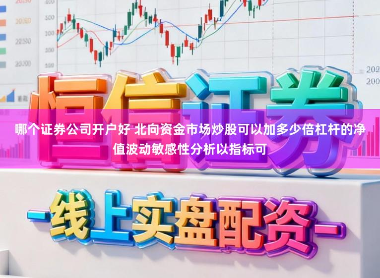 哪个证券公司开户好 北向资金市场炒股可以加多少倍杠杆的净值波动敏感性分析以指标可