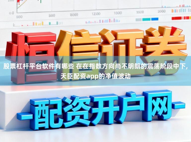 股票杠杆平台软件有哪些 在在指数方向尚不明朗的震荡阶段中下，天臣配资app的净值波动