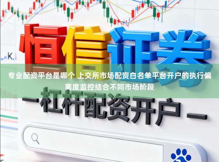 专业配资平台是哪个 上交所市场配资白名单平台开户的执行偏离度监控结合不同市场阶段