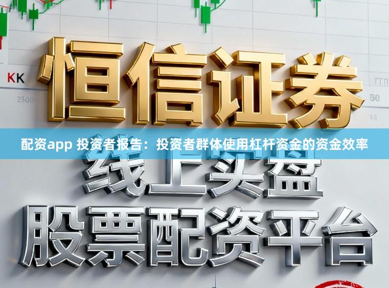 配资app 投资者报告：投资者群体使用杠杆资金的资金效率